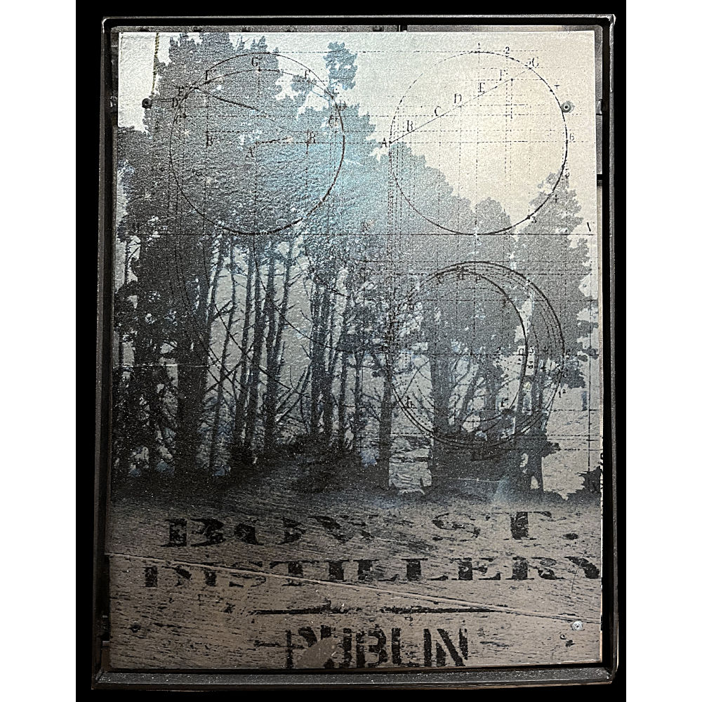 « Treetanium » – Image 2