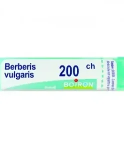BO.BERBERIS VULG*200CH 80GR4G