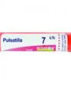 PULSATILLA*7CH 80GR 4G BO
