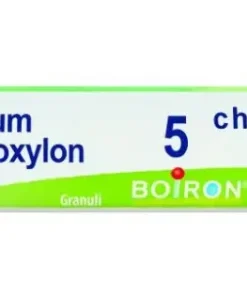 SOLANUM MALACOXILON 5CH GR