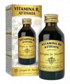 VITAMINA B6 ATTIV LIQ 100M GIORG